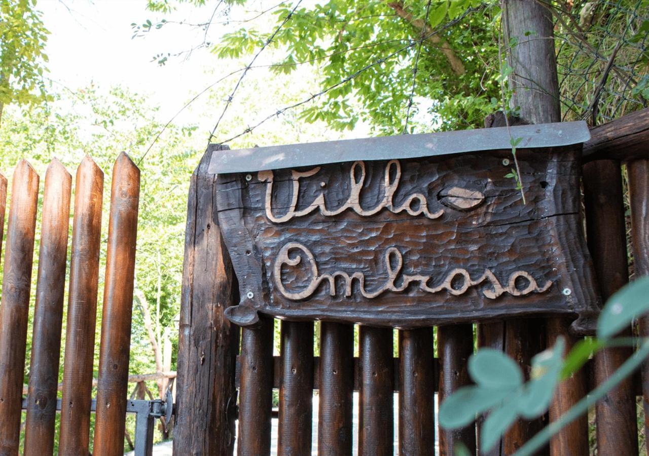 Dolf - Villa Ombrosa Isola  Экстерьер фото